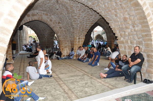 3ed ad7a ma7modiya (13).JPG